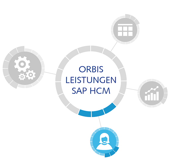 SAP HCM Support