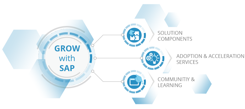 Components of GROW with SAP
